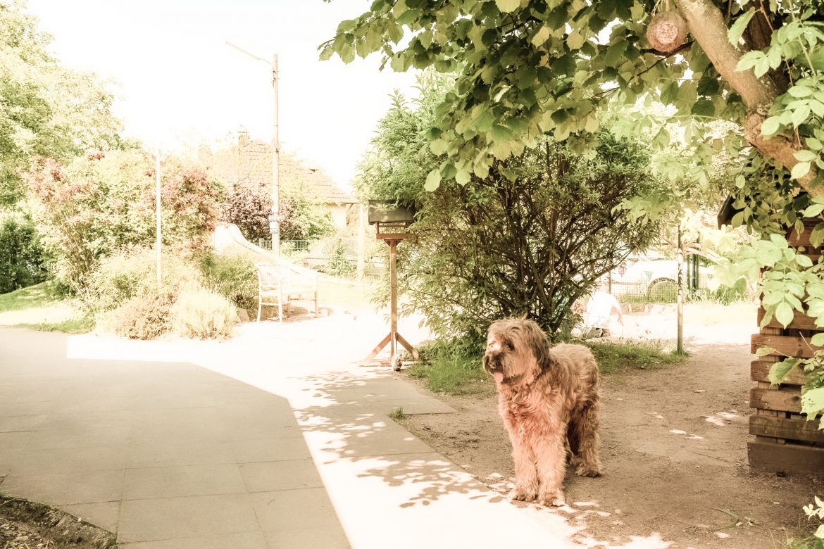 HXXO20190525141832 2000 3