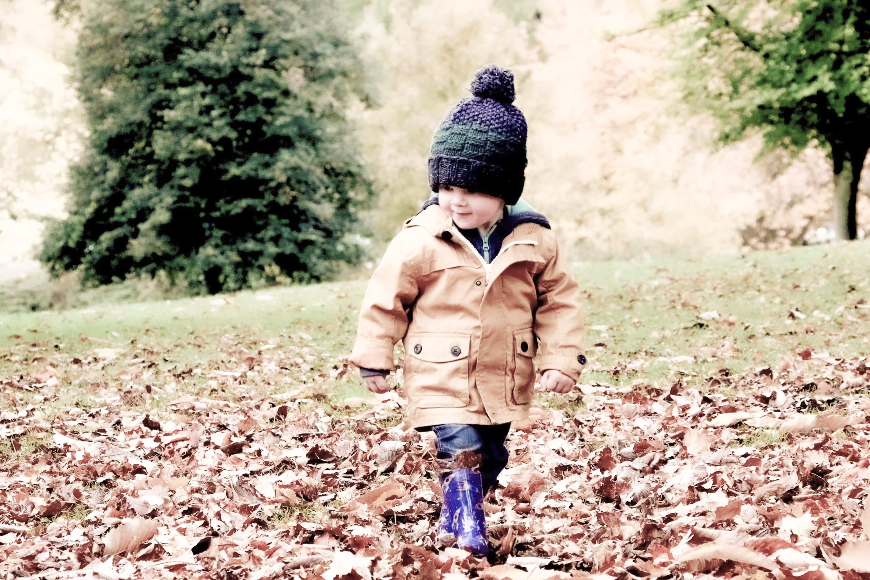 michael podger z d21Hg7CF0 unsplash 3